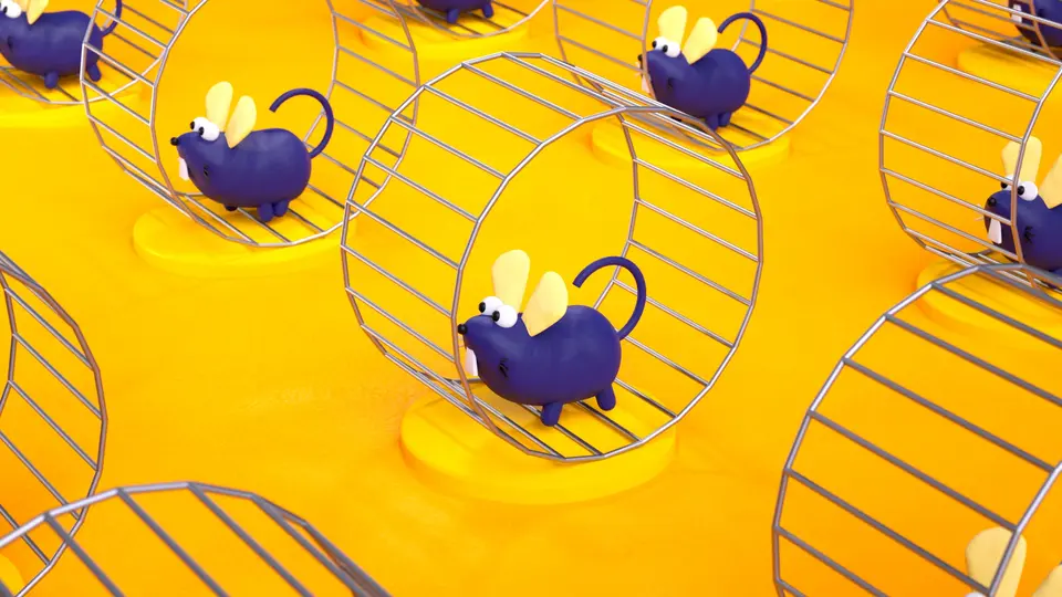 TV Cultura - 55 Anos