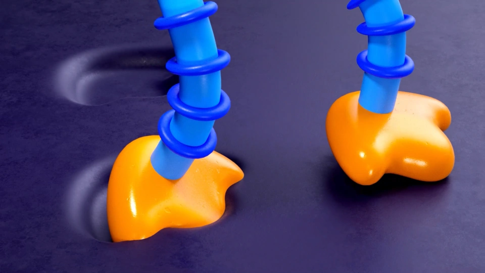 Garibaldo0-00-01-09-ezgif.com-png-to-webp-converter