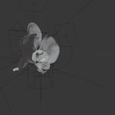 PreviewViwport01_-ezgif.com-gif-to-webp-converter