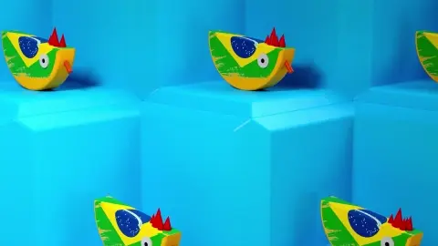 SrBrasil-ezgif.com-video-to-webp-converter